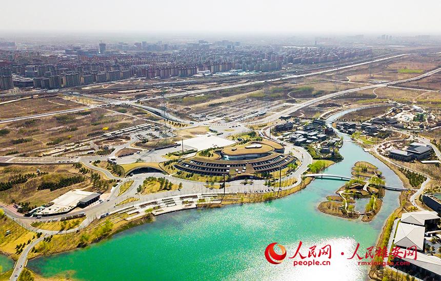 航拍雄安郊野公園。人民網(wǎng)宋燁文攝