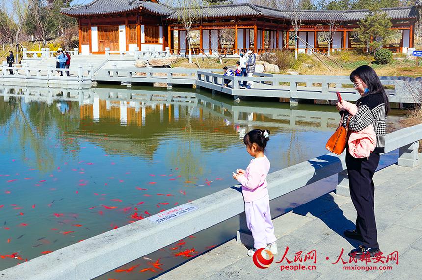 雄安悅?cè)莨珗@一角，不少家長(zhǎng)帶著孩子前來游玩。人民網(wǎng)宋燁文攝