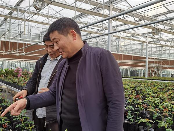 諸新良和農(nóng)戶一起研究花木種植技術(shù)。受訪者供圖